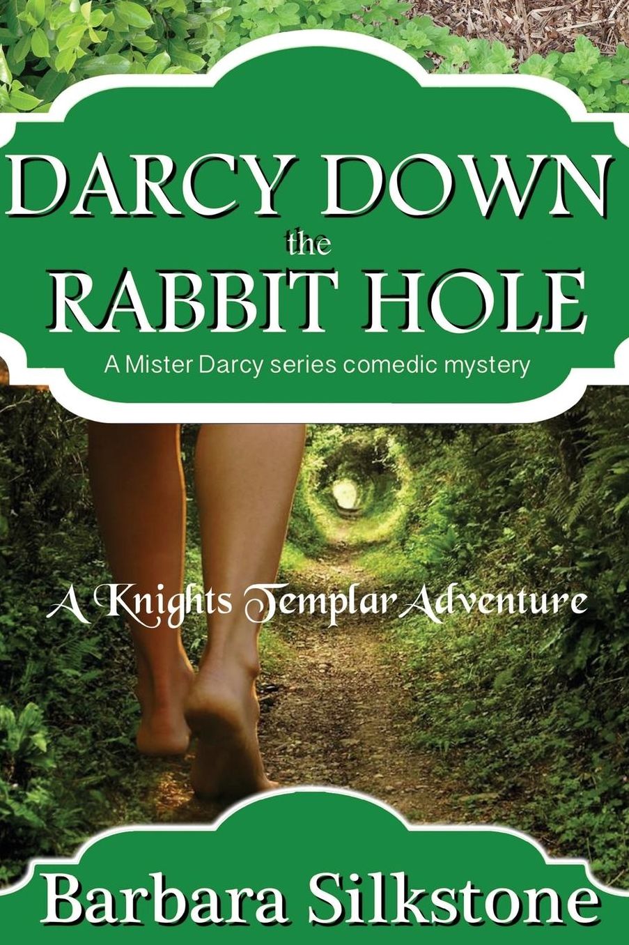 Darcy Down the Rabbit Hole: A Mister Darcy Series Comedic Mystery