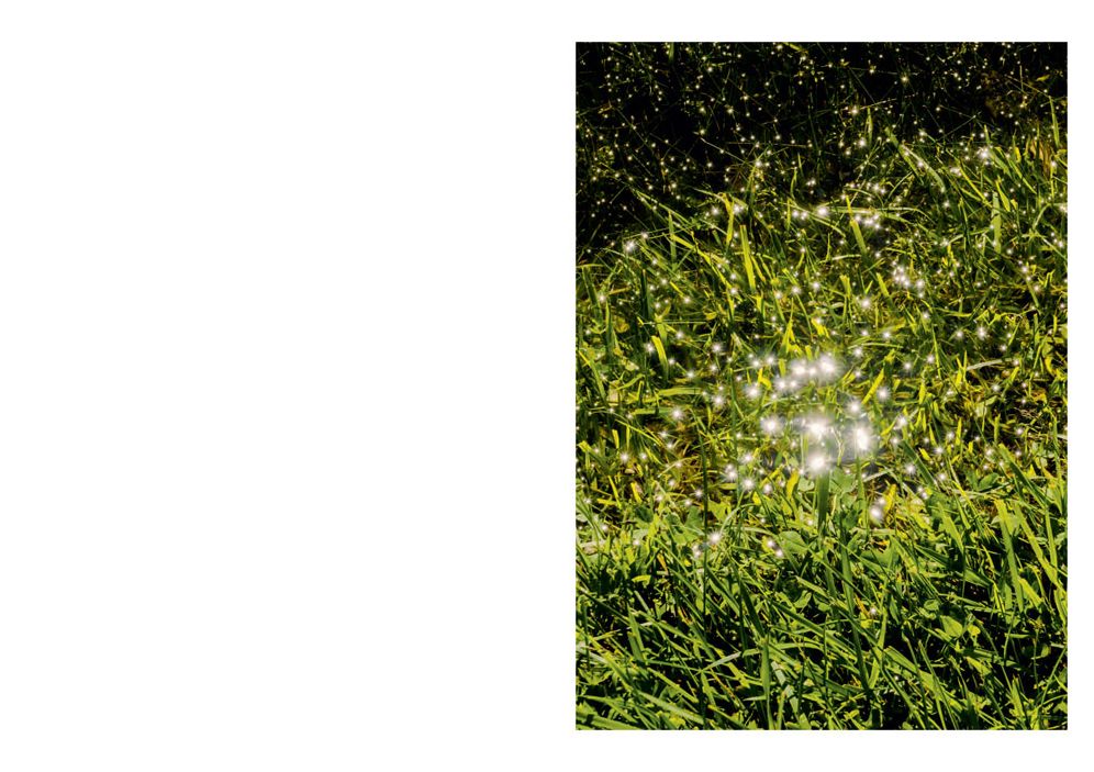 Mike Slack: The Transverse Path: (or Nature's Little Secret)