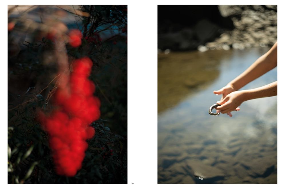 Terri Weifenbach: Cloud Physics