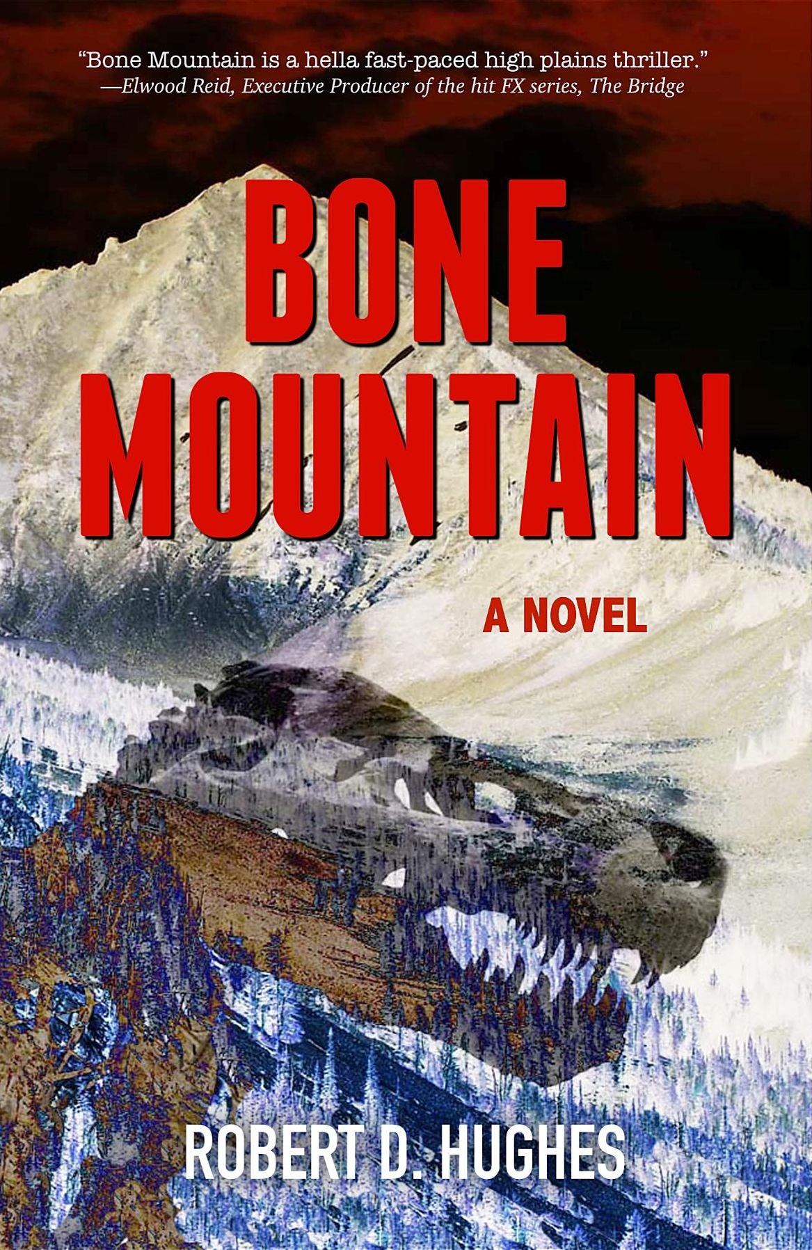 BONE MOUNTAIN: A NOVEL