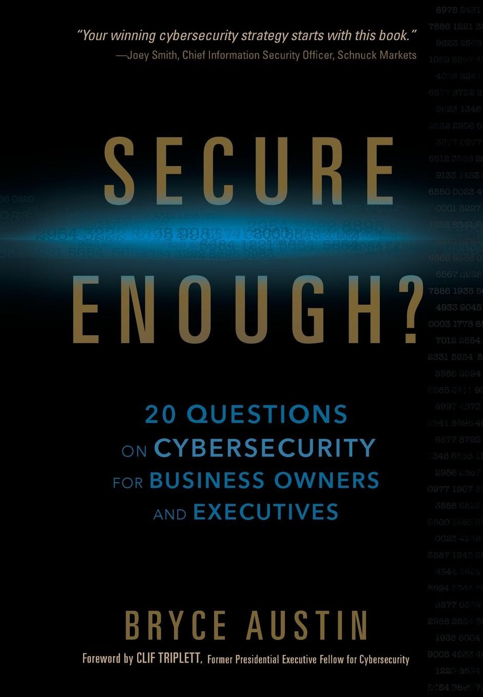 Secure Enough?: 20 Questions on Cybersecurity for Business Owners and Executives