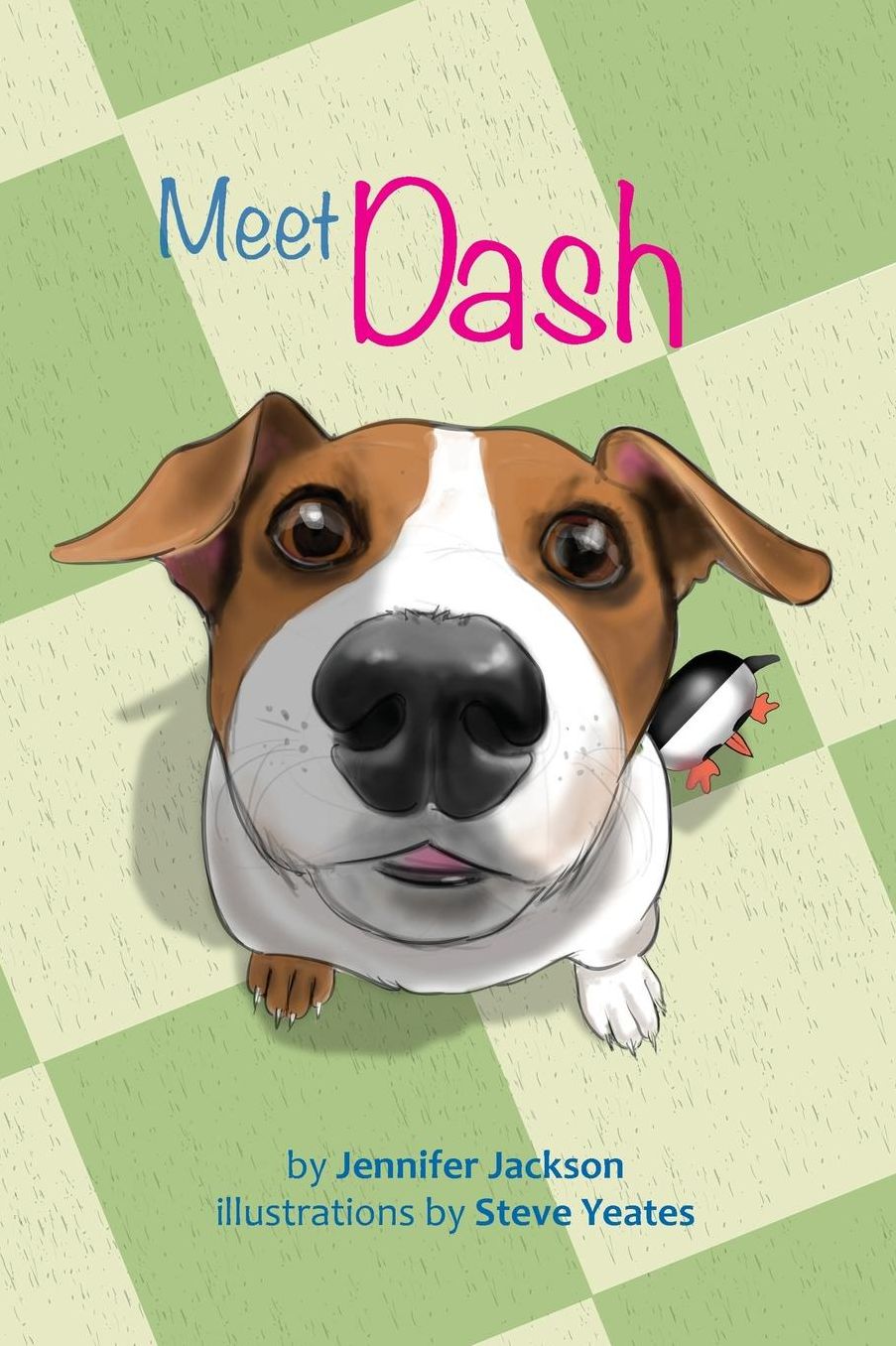 Meet Dash