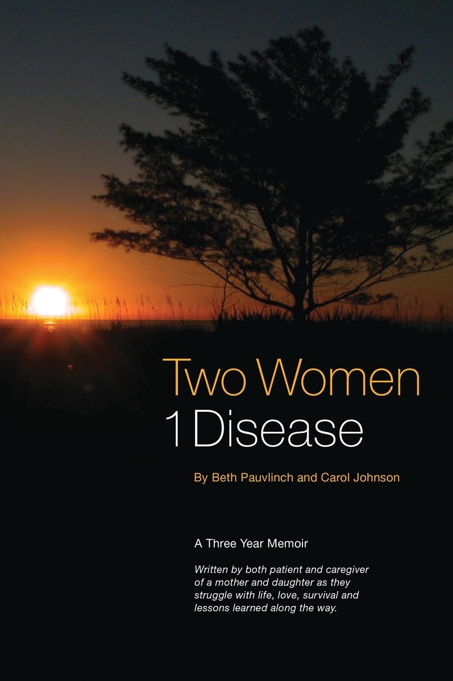 Two Women ~ 1 Disease: A story of survival and struggles co-written by both caregiver and cancer patient.