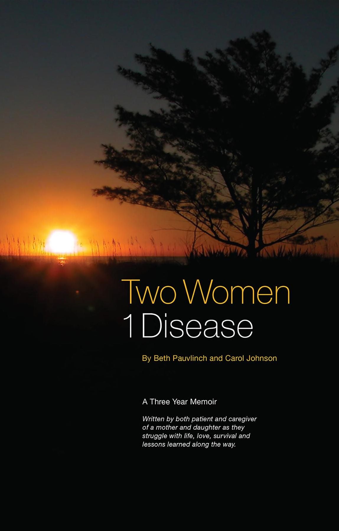 Two Women ~ 1 Disease: A story of survival and struggles co-written by both caregiver and cancer patient.