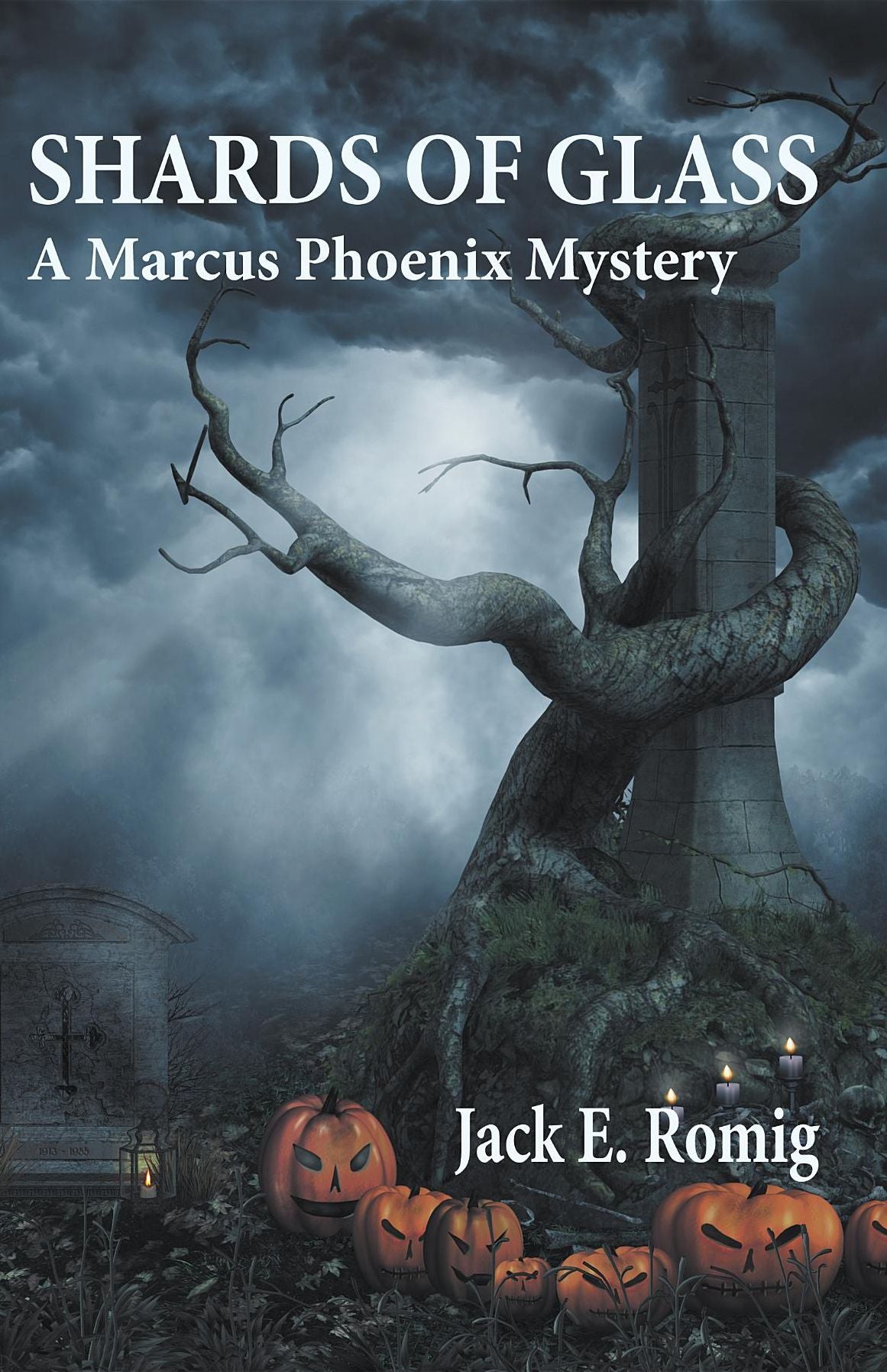 Shards Of Glass: A Marcus Phoenix Mystery
