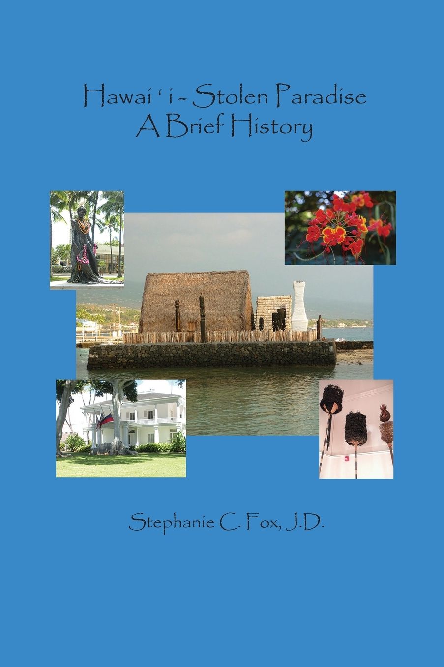 Hawai?i - Stolen Paradise: A Brief History