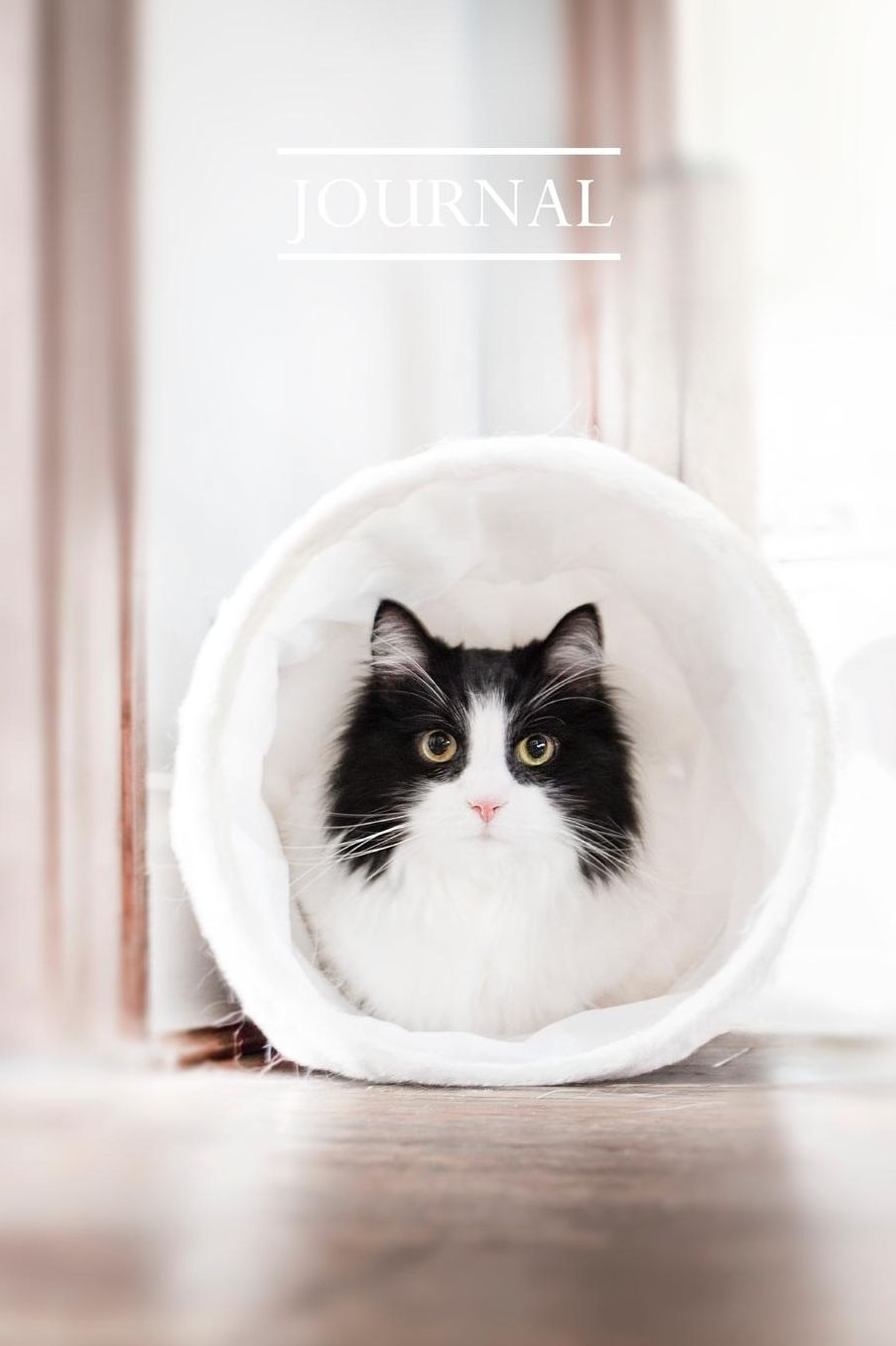 Journal: Pretty Cute Kitten Notebook for Cat Lovers