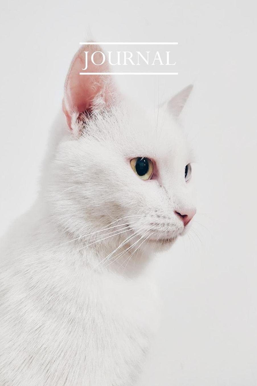 Journal: Pretty Cute Kitten Notebook for Cat Lovers