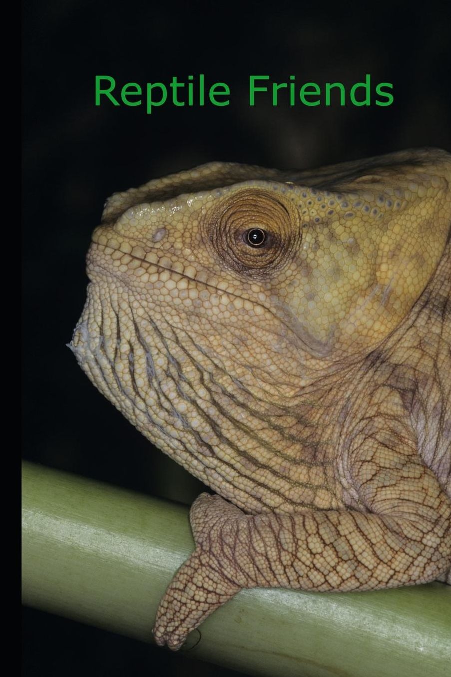 Reptile Friends