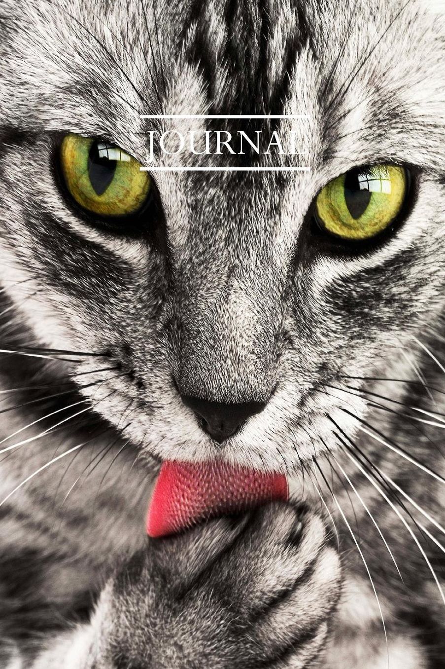 Journal: Pretty Cute Kitten Notebook for Cat Lovers