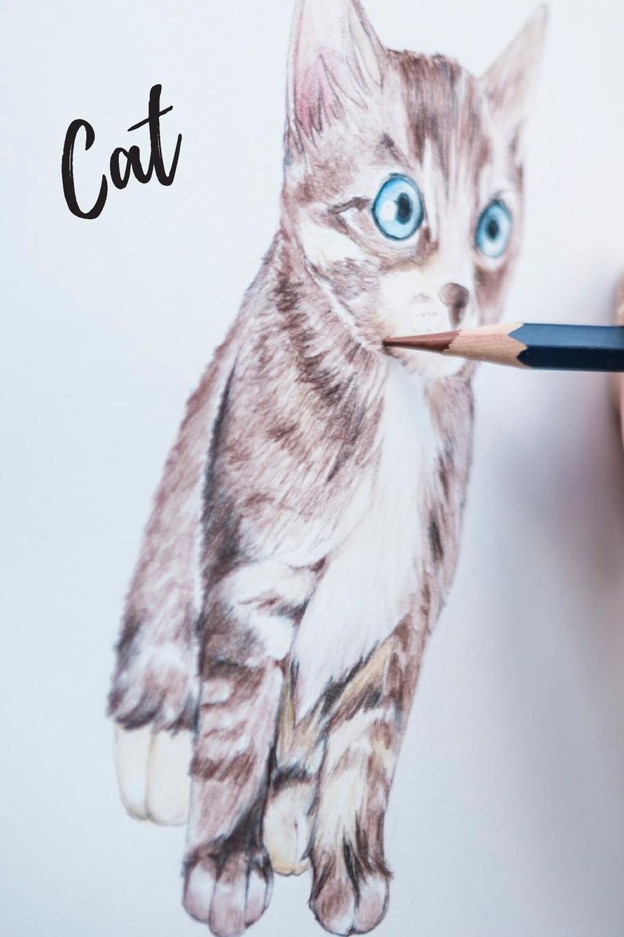 Cat: Notebook, Journal, Diary (110 Pages, Unlined, 6 x 9) (Animal Glossy Notebook)