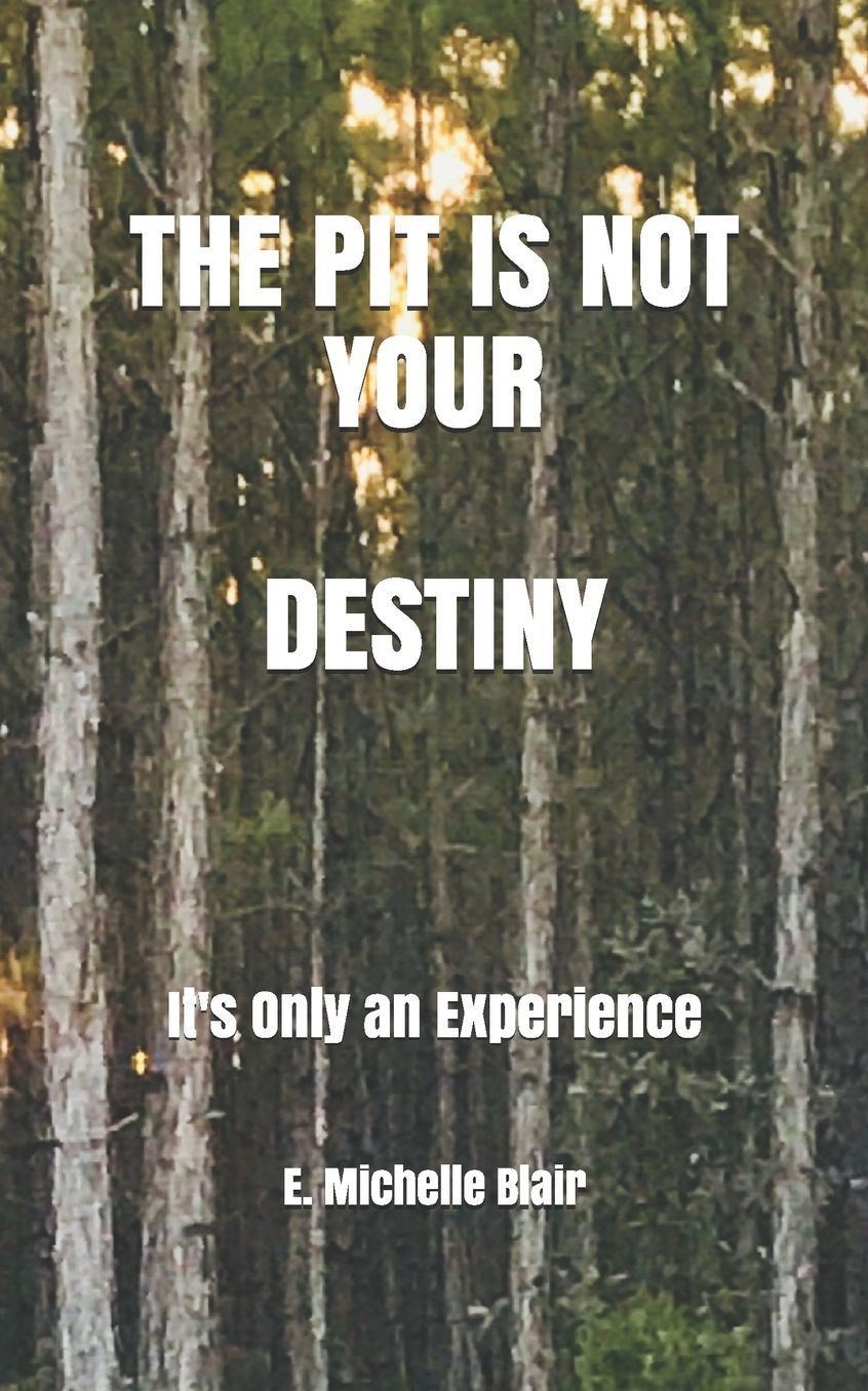 THE PIT IS NOT YOUR DESTINY: It's Only an Experience