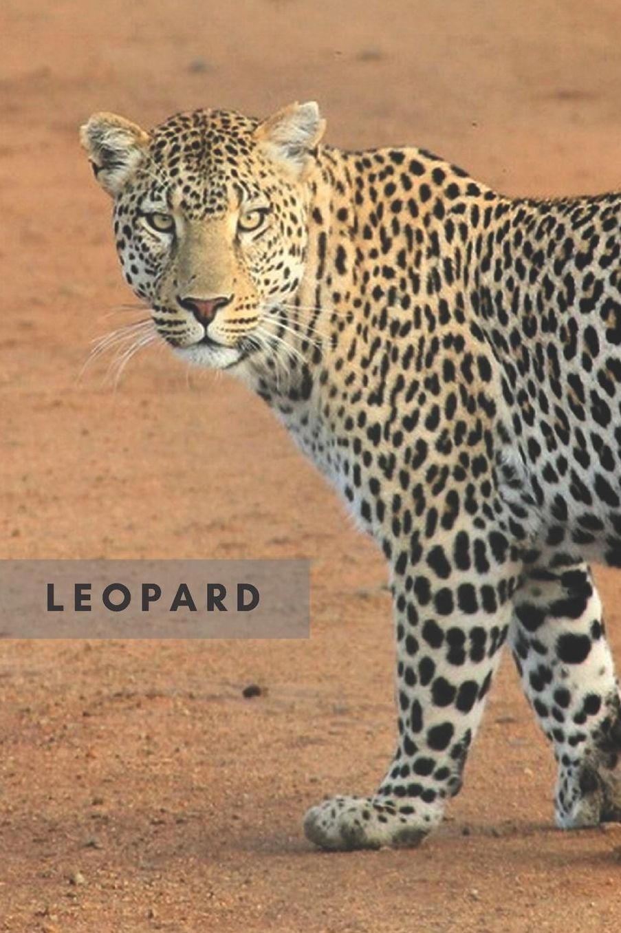 Leopard: Notebook, Journal, Diary (110 Pages, Unlined, 6 x 9) (Animal Glossy Notebook)