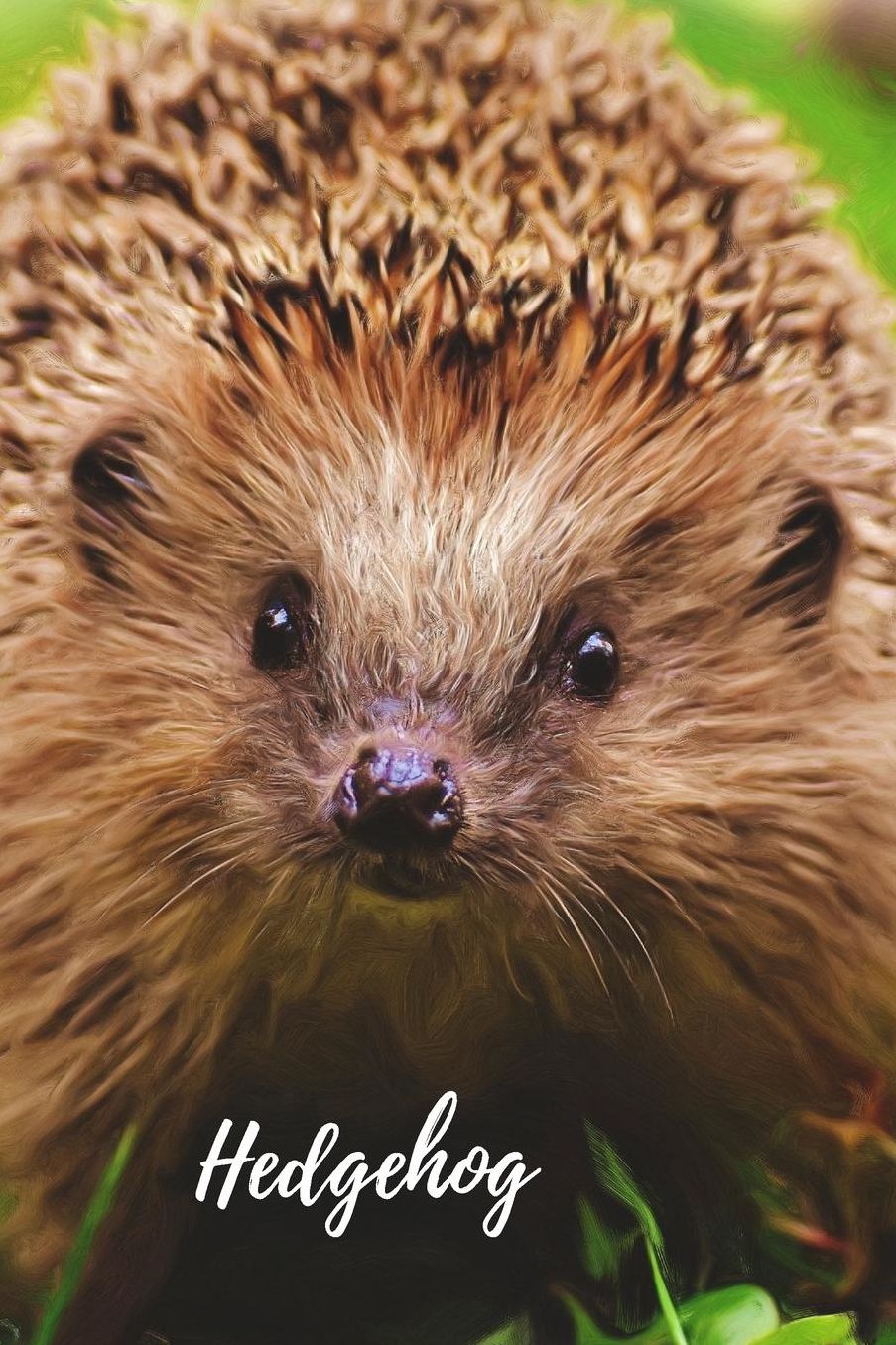 Hedgehog: Notebook with Animals for Kids, Notebook for Coloring Drawing and Writing (Realistic Colors, 110 Pages, Unlined, 6 x 9)(Animal Glossy Notebook)