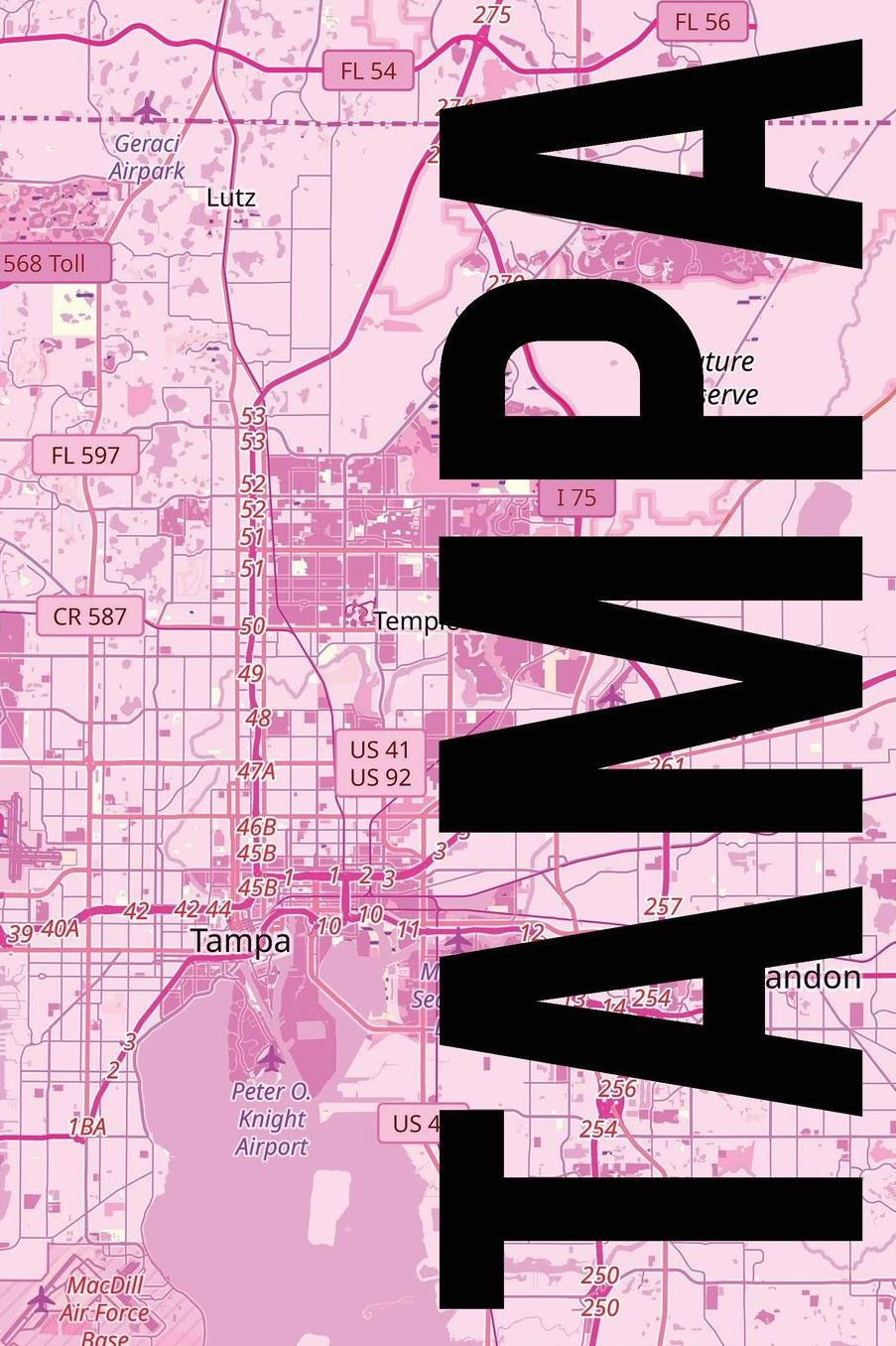 Tampa: 6x9 blank lined journal