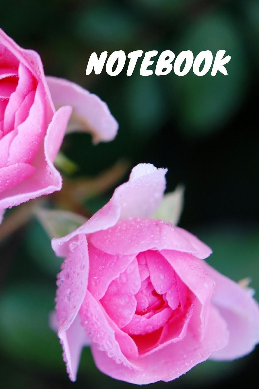 Notebook: Planner / Notebook / Journal / Diary - wide ruled paper - 120 pages - 6x9. Wonderful Rose Cover