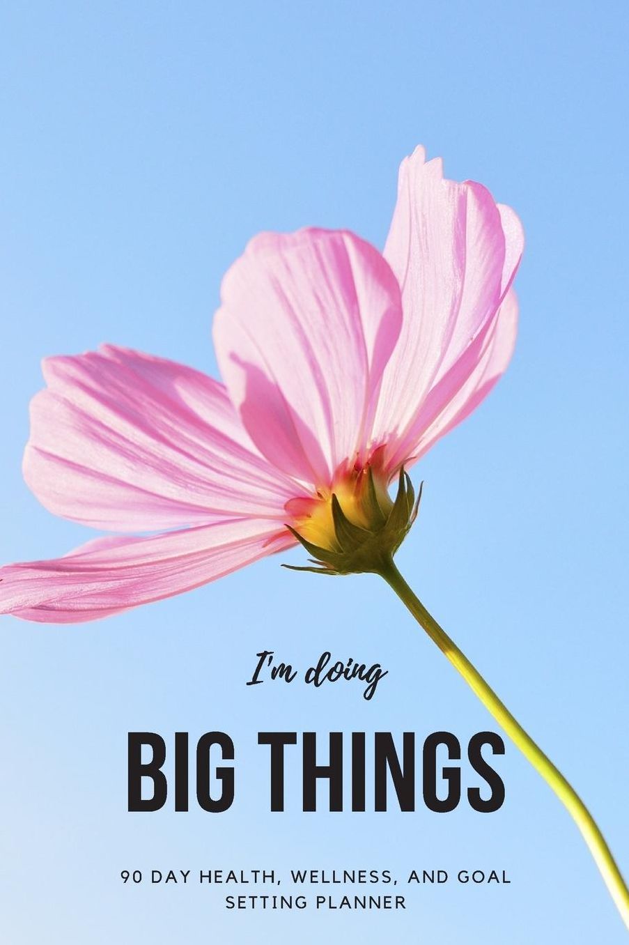 I'm Doing Big Things: 90 Day Health, Wellness, and Goal Setting Planner