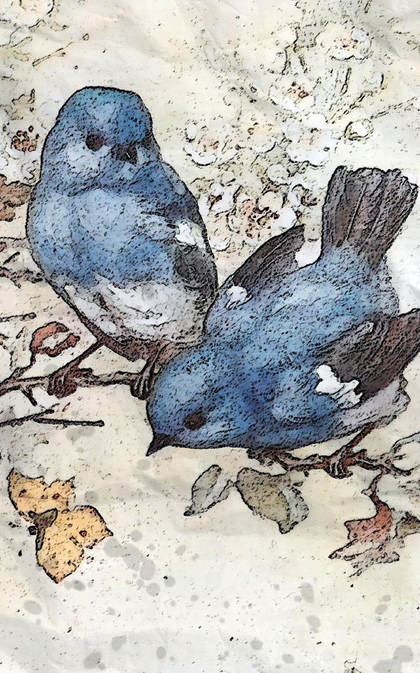 Notebook: Blue Bird and Blossom Wild Bird Wildlife Perch Birds Blues Birds 5 x 8 150 Ruled Pages