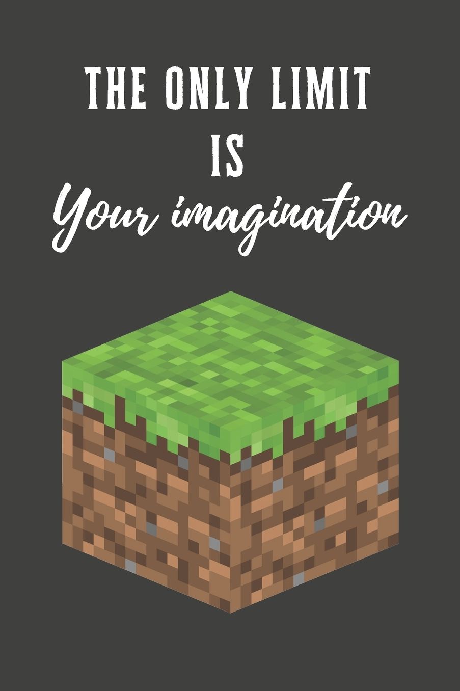 The Only Limit Is Your Imagination: Funny Minecraft Notebook To Write In