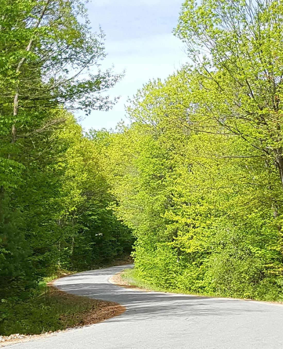 School Composition Book Winding Country Road Springtime: Photo Covers Composition Books Notebooks (Notebook, Diary, Blank Book)