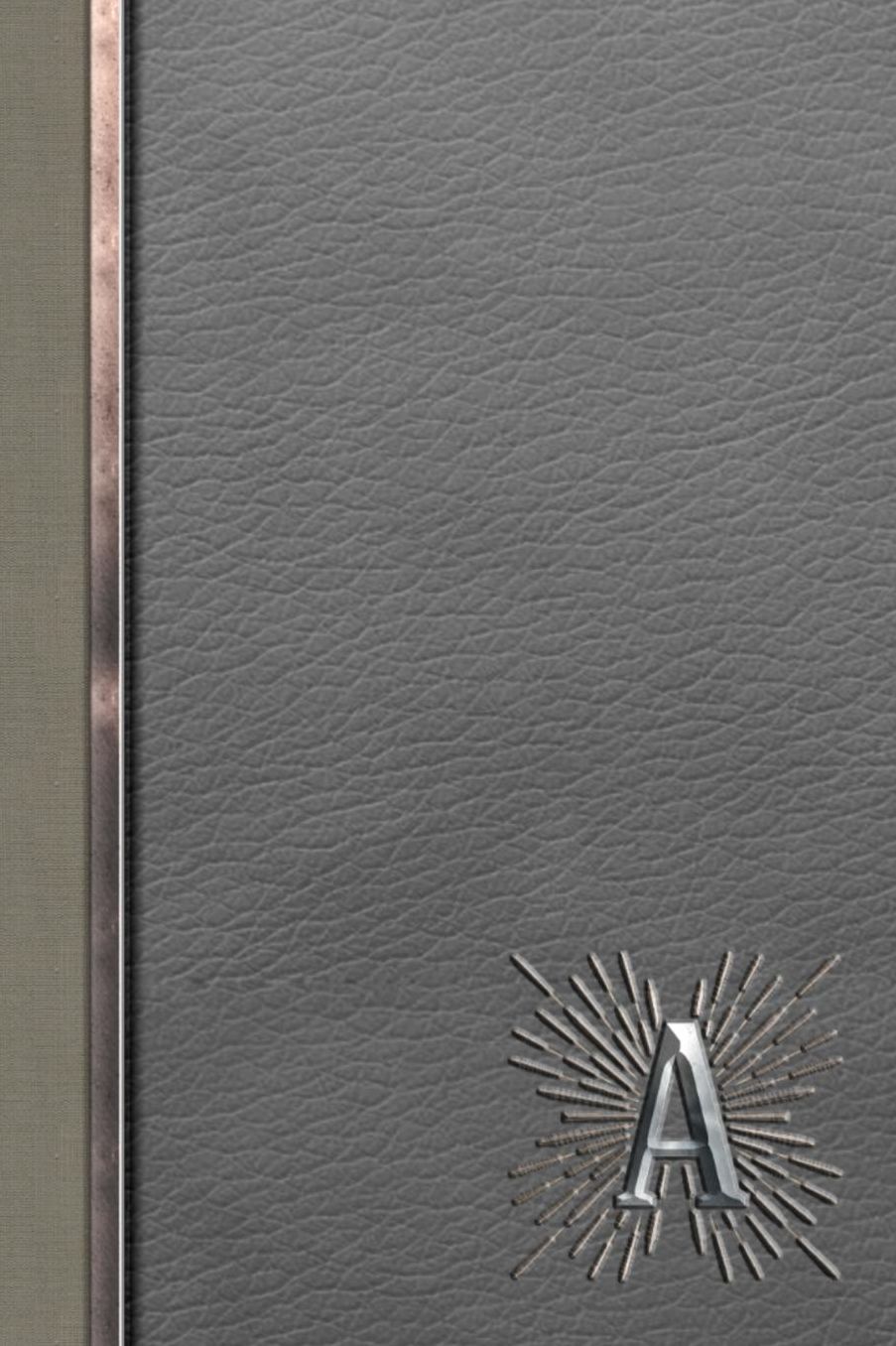 A: Meetings Notebook for Social Worker with Custom Interior: Personalized Monogram Initial Beveled Silver & Leather Effect 6 x 9 inch - 121 Pages