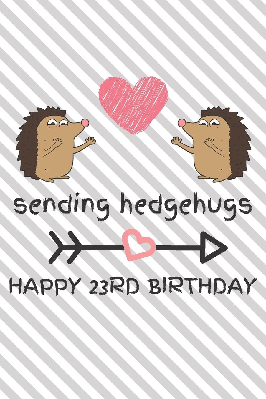 Sending Hedgehugs Happy 23rd Birthday: Funny 23rd Birthday Gift Journal / Notebook / Diary / Unique Hedgehog Pun Greeting Card Alternative