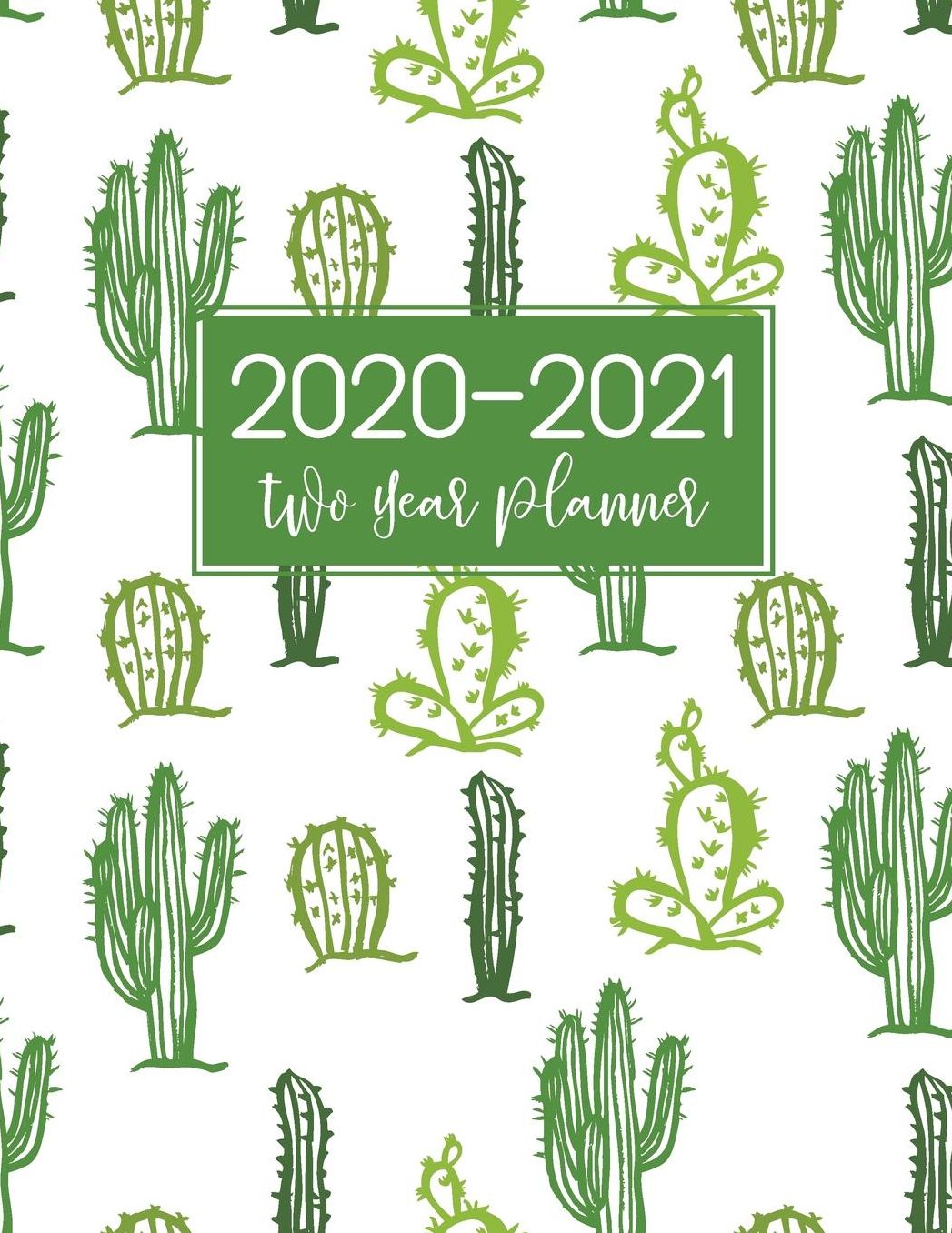 2020-2021 Two Year Planner: Cactus Cover 2 Year Monthly Appointment Notebook 24 Months Planner and Calendar Two Year Agenda Schedule Organizer Business Planners with Holidays Password Logbook