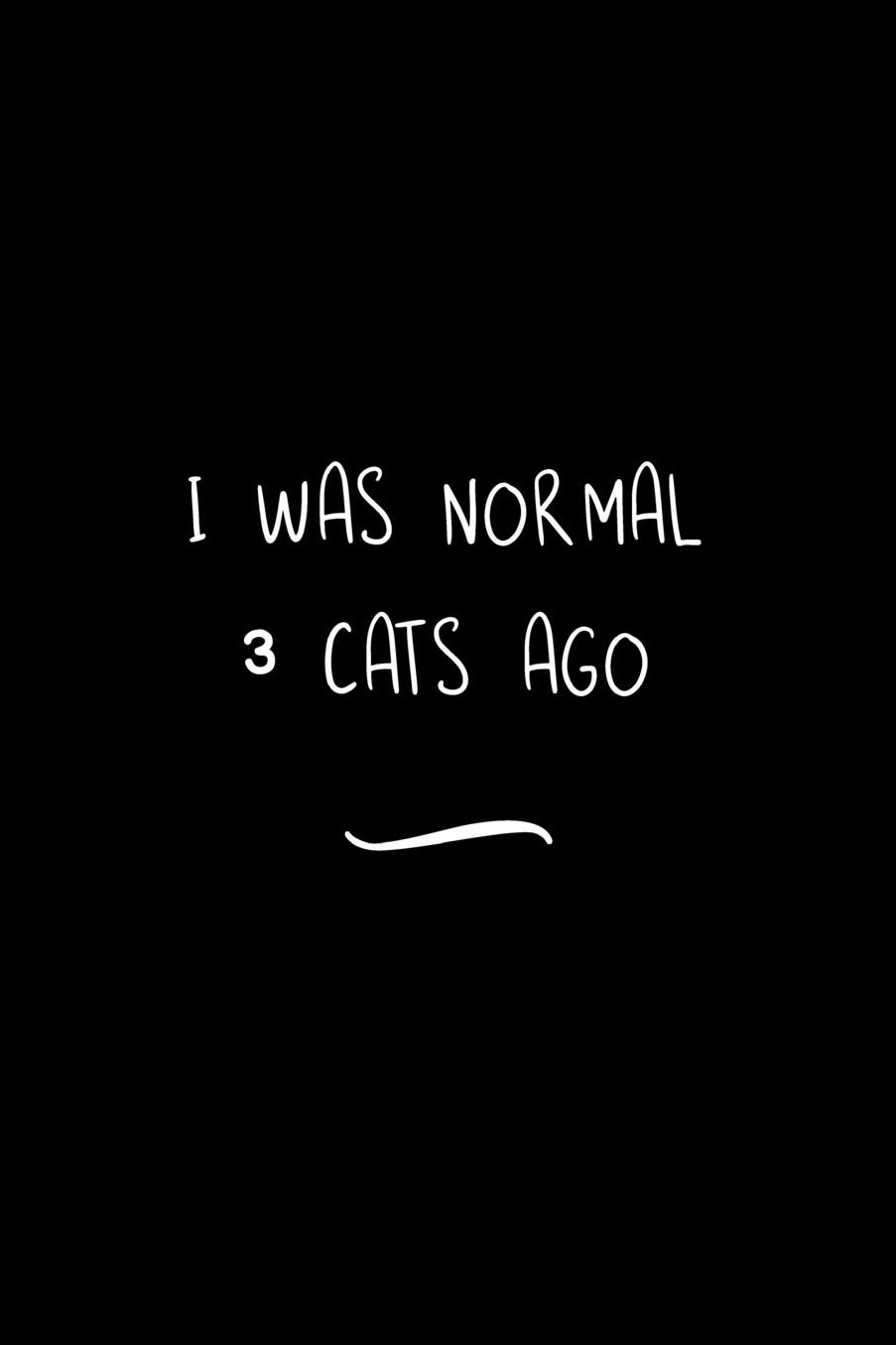 I Was Normal 3 Cats Ago: Funny Office Notebook/Journal For Women/Men/Coworkers/Boss/Business Woman/Funny office work desk humor/ Stress Relief Anger Management Journal(6x9 inch)