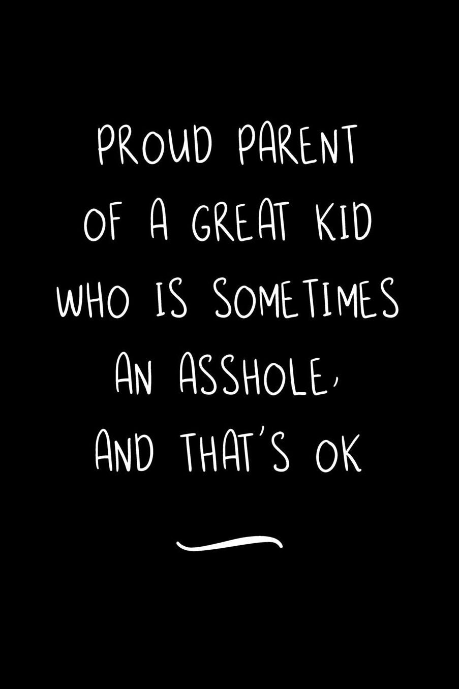 Proud Parent Of A Great Kid Who Is Sometimes An Asshole, And That's OK: Funny Office Notebook/Journal For Women/Men/Coworkers/Boss/Business Woman/Funny office work desk humor/ Stress Relief Anger Management Journal(6x9 inch)