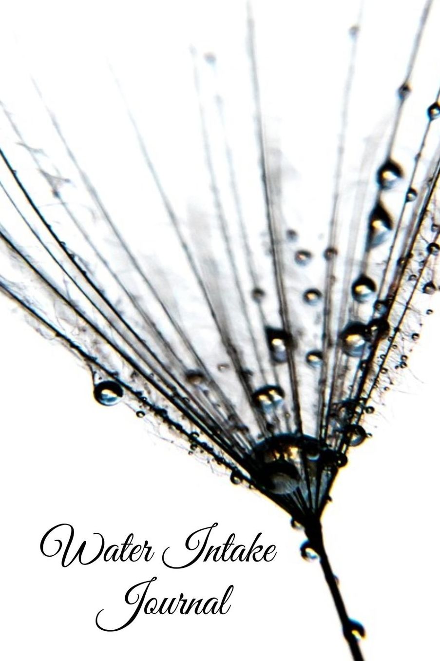 Water Intake Journal: Daily Hydration Tracker - Men, Women Water Log Book - 13 Month Checklist, Dot Grid Sheets and Lined Notebook Pages