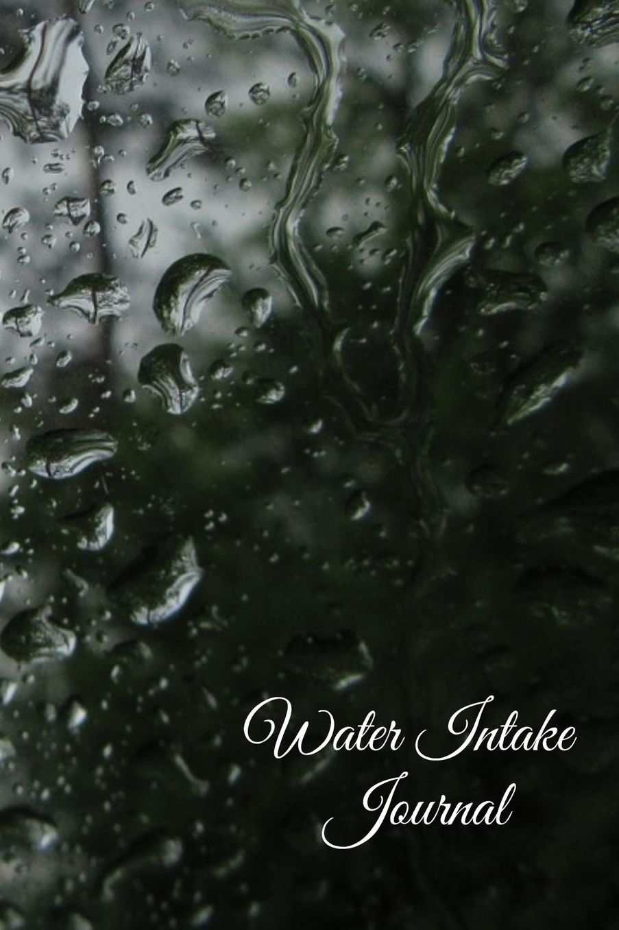 Water Intake Journal: Daily Hydration Tracker - Athletes Water Log Book - 13 Month Checklist, Dot Grid Sheets and Lined Notebook Pages
