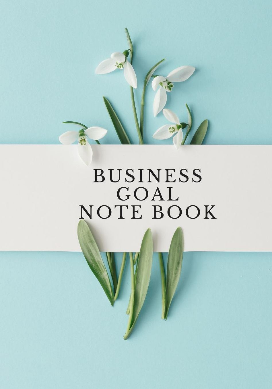 Business goal Notebook: Blank Ruled Notebook and Office Journal Entries Manager or Co-Worker writing pad Personal goal setting book