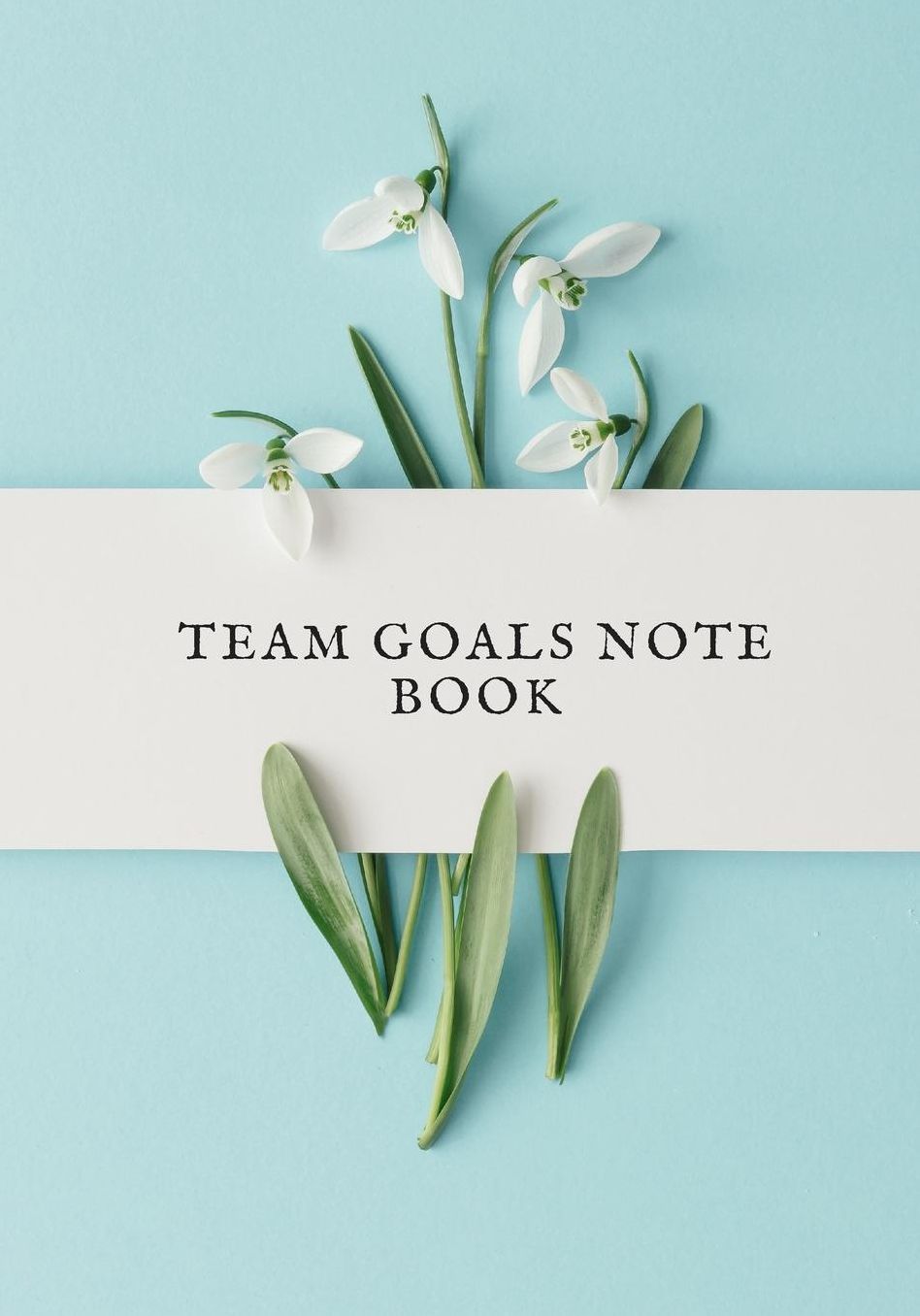 Team Goals Notebook: Blank Ruled Notebook and Office Journal Entries Manager or Co-Worker writing pad Personal goal setting book