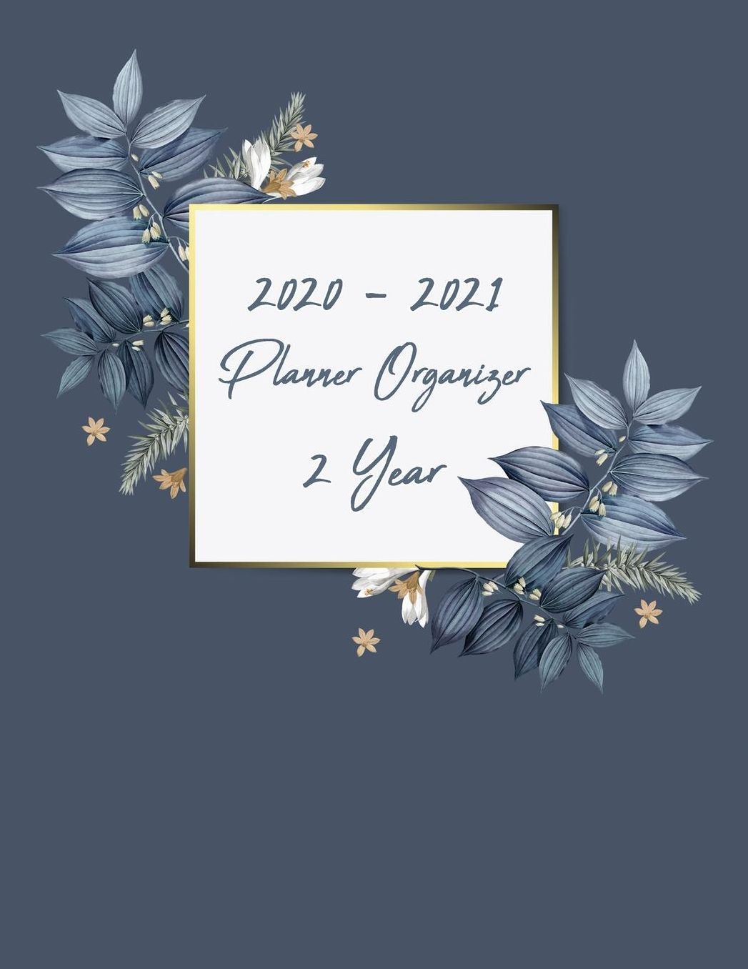 2020-2021 Planner Organizer 2 Years: 2 Years Calendar from January 2020 to December 2021, 52 Weeks Planner, Agenda Schedule Planner Organizer.