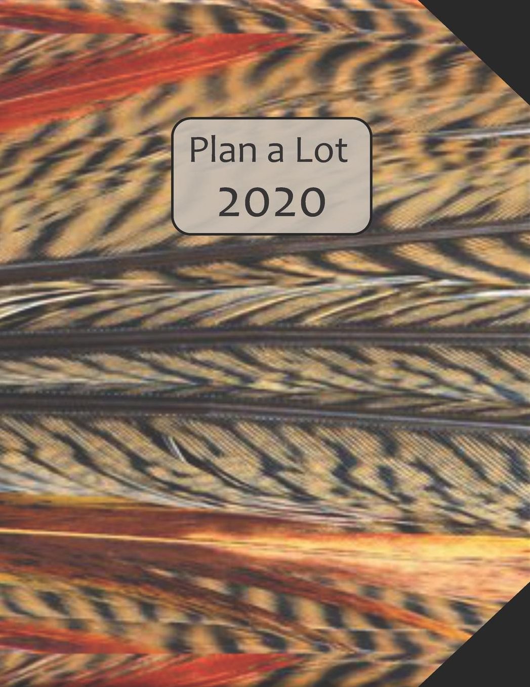 Plan a Lot 2020: Coloured Feathers Cover, 4 Months at a glance, Months on 2 pages, monthly Project planner, Weekly with tracking habits, to-do listings and big note section followed by 60+ grid pages; 8x11 sized