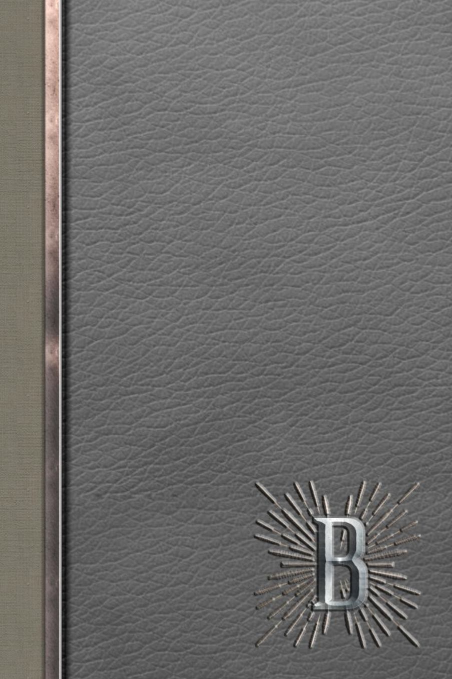 B: Meetings Notebook for Social Worker with Custom Interior: Personalized Monogram Initial Beveled Silver & Leather Effect 6 x 9 inch - 121 Pages