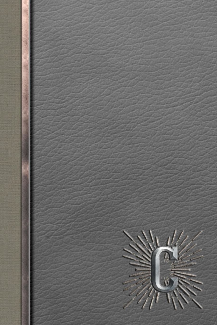 C: Meetings Notebook for Social Worker with Custom Interior: Personalized Monogram Initial Beveled Silver & Leather Effect 6 x 9 inch - 121 Pages