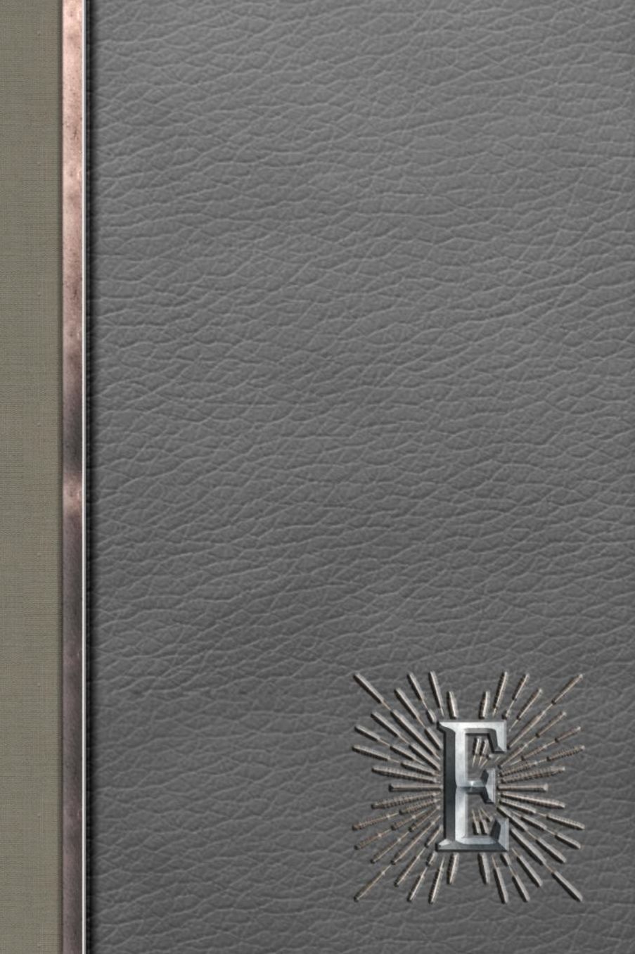E: Meetings Notebook for Social Worker with Custom Interior: Personalized Monogram Initial Beveled Silver & Leather Effect 6 x 9 inch - 121 Pages