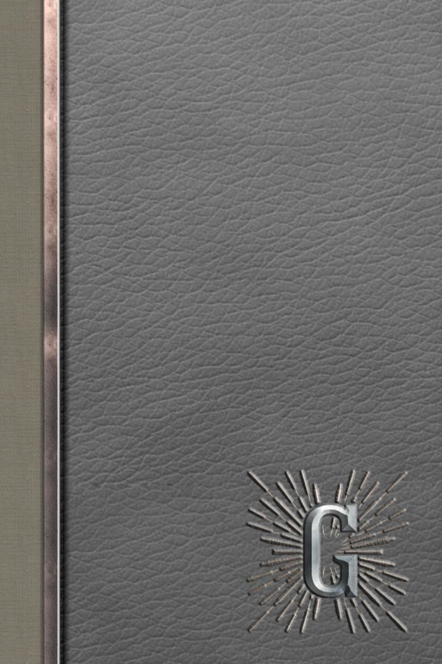 G: Meetings Notebook for Social Worker with Custom Interior: Personalized Monogram Initial Beveled Silver & Leather Effect 6 x 9 inch - 121 Pages
