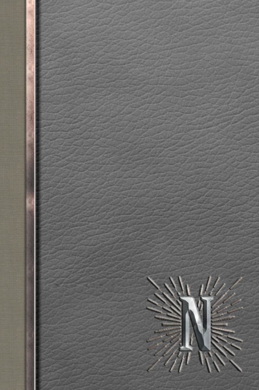 N: Meetings Notebook for Social Worker with Custom Interior: Personalized Monogram Initial Beveled Silver & Leather Effect 6 x 9 inch - 121 Pages