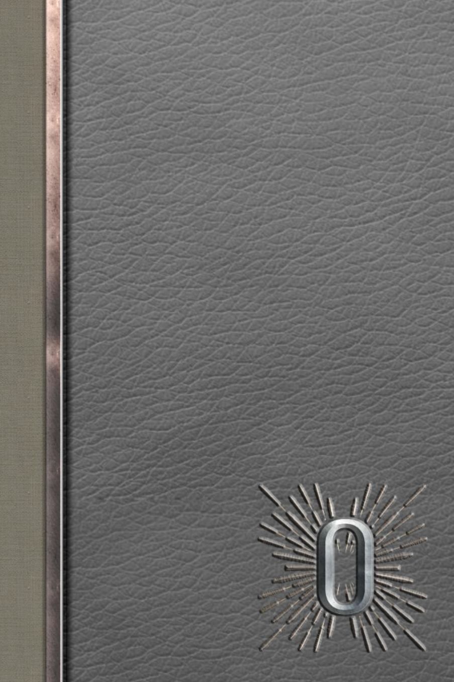 O: Meetings Notebook for Social Worker with Custom Interior: Personalized Monogram Initial Beveled Silver & Leather Effect 6 x 9 inch - 121 Pages