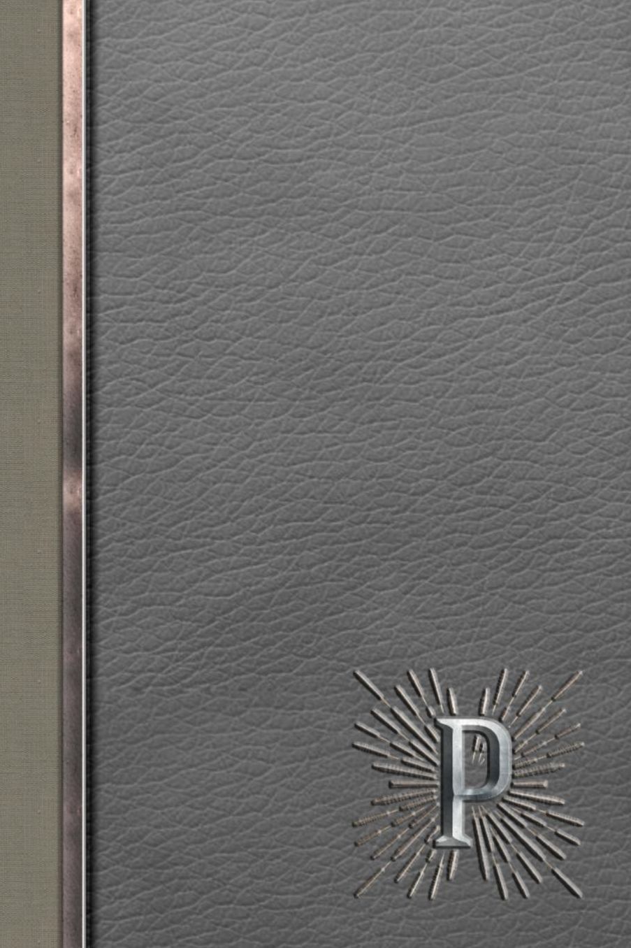P: Meetings Notebook for Social Worker with Custom Interior: Personalized Monogram Initial Beveled Silver & Leather Effect 6 x 9 inch - 121 Pages