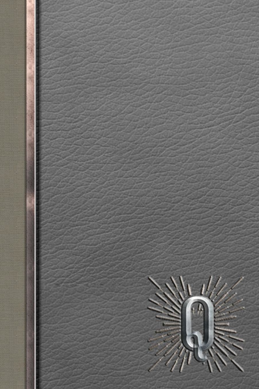 Q: Meetings Notebook for Social Worker with Custom Interior: Personalized Monogram Initial Beveled Silver & Leather Effect 6 x 9 inch - 121 Pages