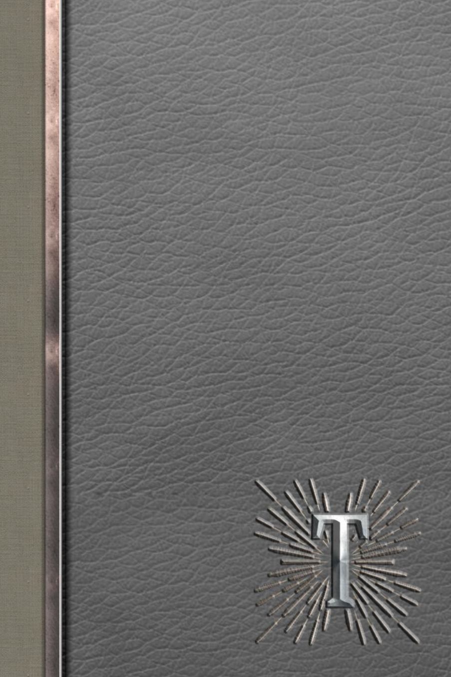 T: Meetings Notebook for Social Worker with Custom Interior: Personalized Monogram Initial Beveled Silver & Leather Effect 6 x 9 inch - 121 Pages