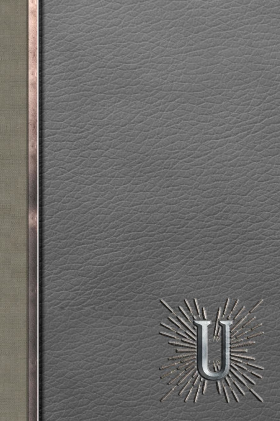 U: Meetings Notebook for Social Worker with Custom Interior: Personalized Monogram Initial Beveled Silver & Leather Effect 6 x 9 inch - 121 Pages