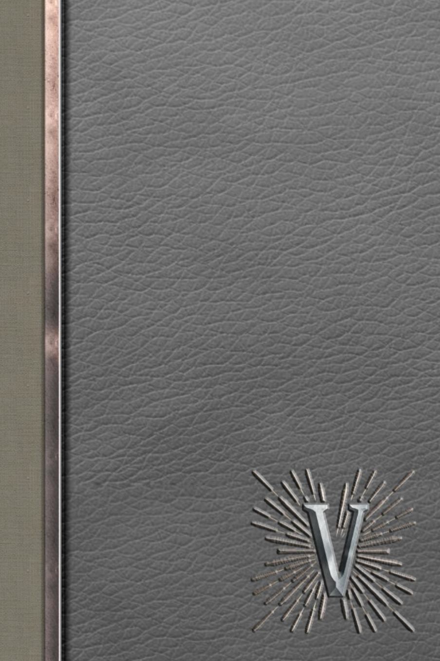 V: Meetings Notebook for Social Worker with Custom Interior: Personalized Monogram Initial Beveled Silver & Leather Effect 6 x 9 inch - 121 Pages
