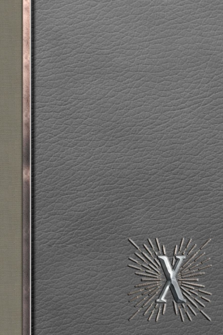X: Meetings Notebook for Social Worker with Custom Interior: Personalized Monogram Initial Beveled Silver & Leather Effect 6 x 9 inch - 121 Pages
