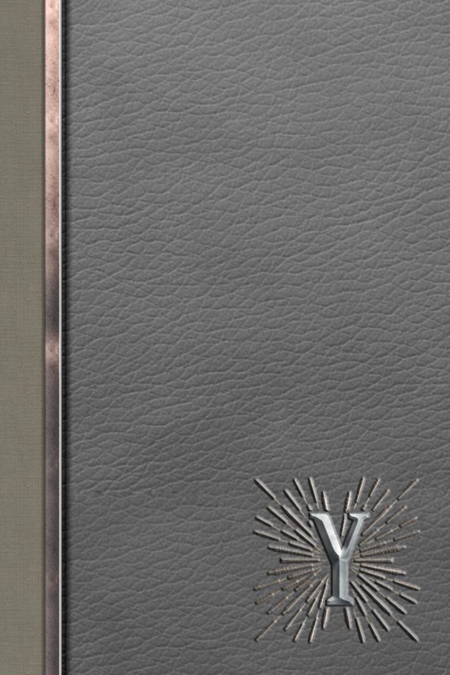 Y: Meetings Notebook for Social Worker with Custom Interior: Personalized Monogram Initial Beveled Silver & Leather Effect 6 x 9 inch - 121 Pages