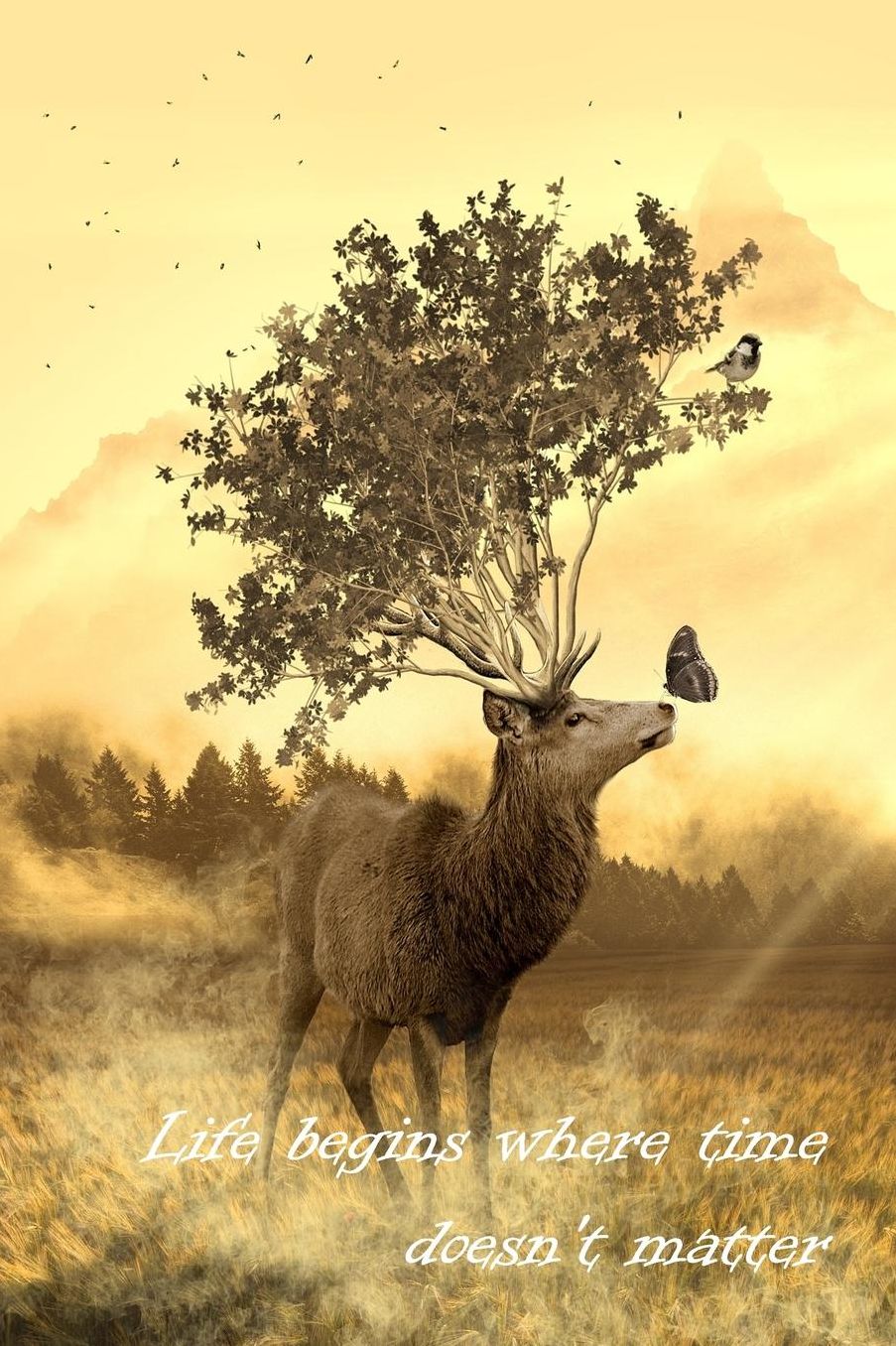 Life begins where time doesn't matter: A travel and camping logbook * ideal for campsites and other accommodations