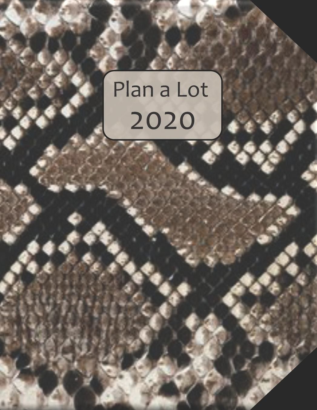 Plan a Lot 2020: Snake Skin Picture Cover, 4 Months at a glance, Months on 2 pages, monthly Project planner, Weekly with tracking habits, to-do listings and big note section followed by 60+ grid pages; 8x11 sized